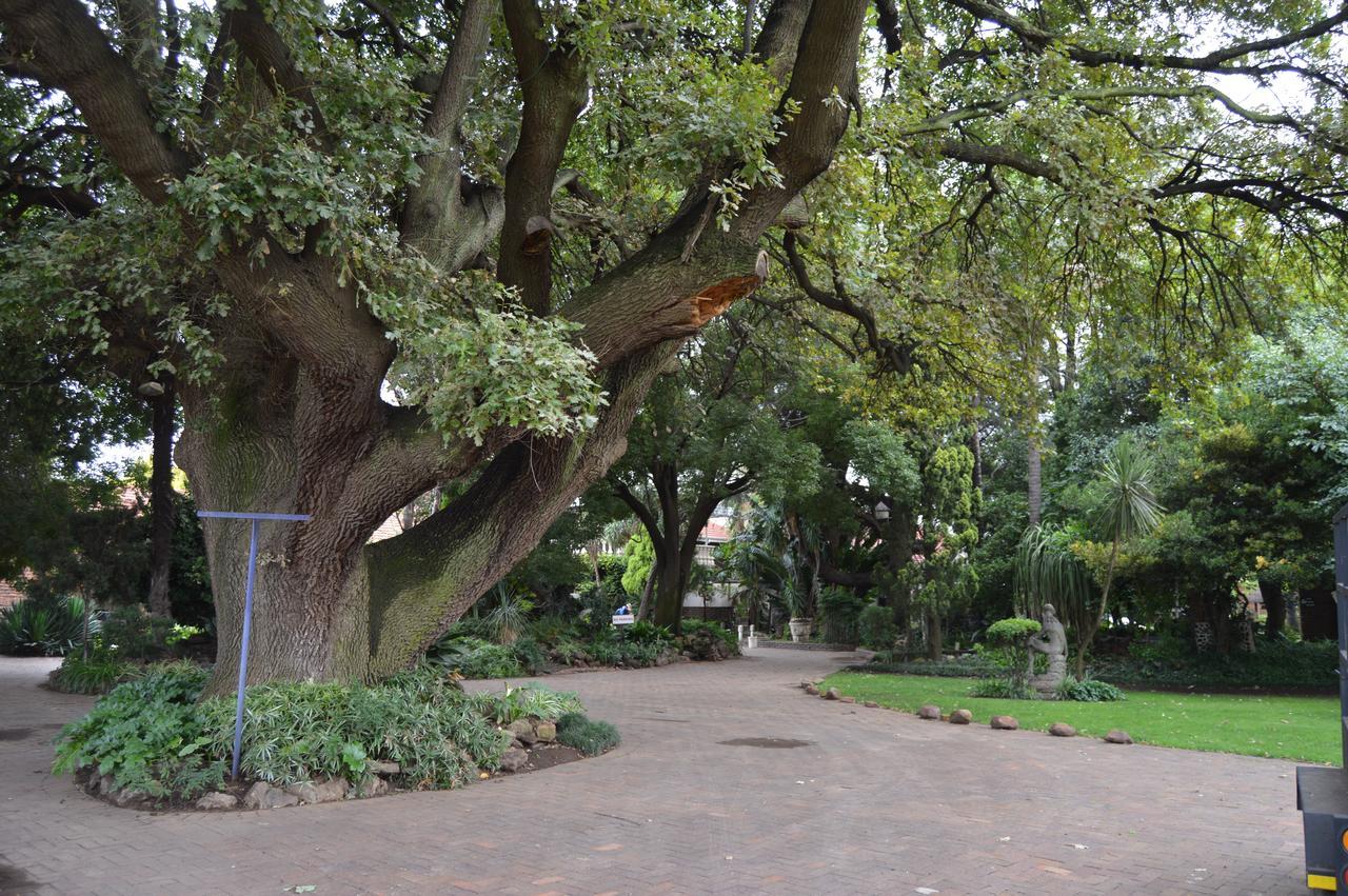 Airport Gardens Boutique Hotel Boksburg Exteriér fotografie